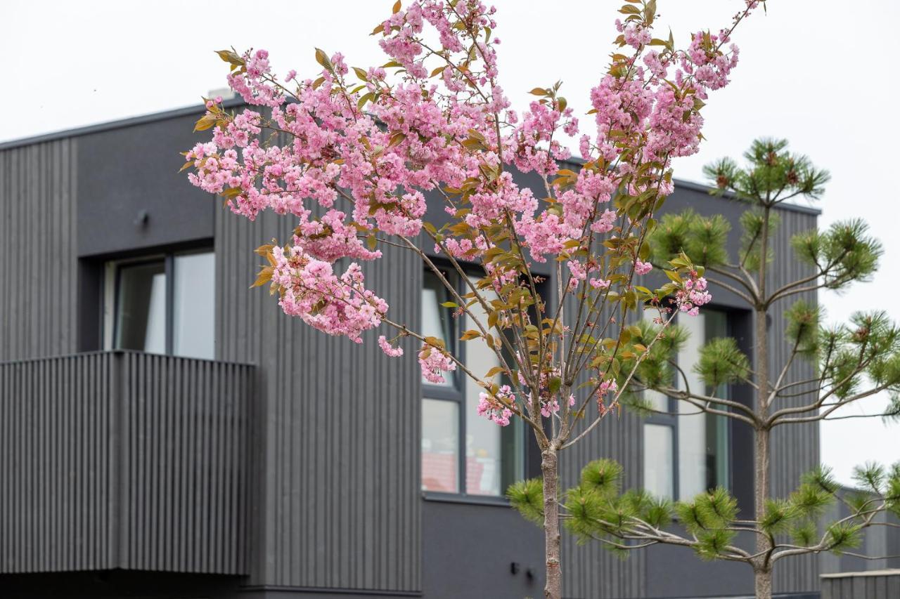 Apartment Mano Jura 3